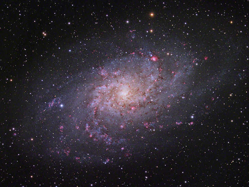 M33