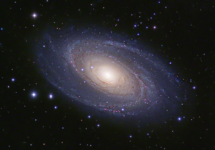 M81 detail