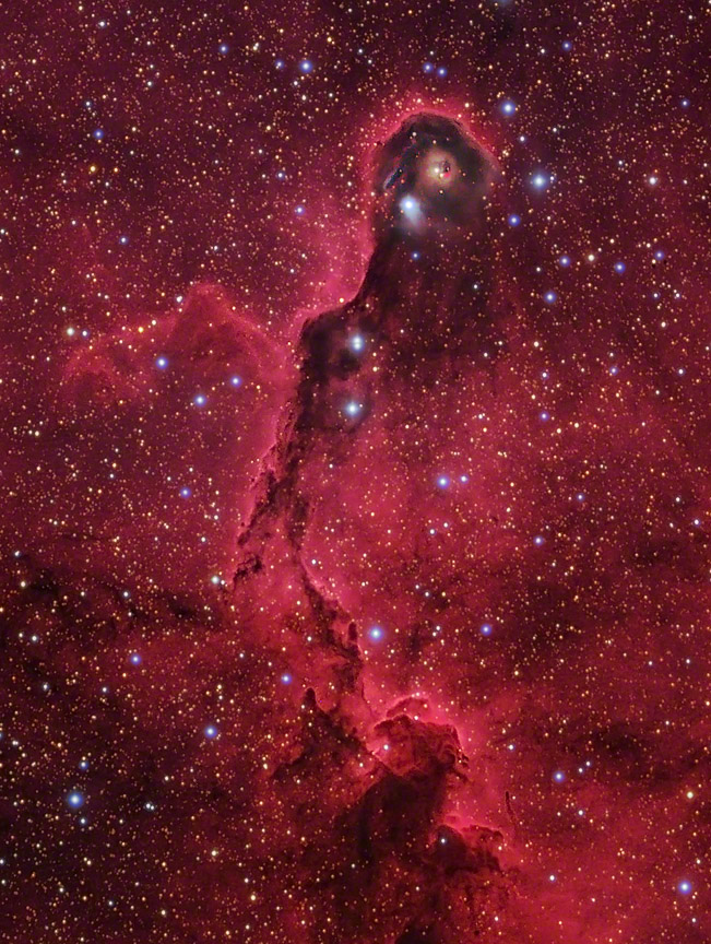 IC 1396