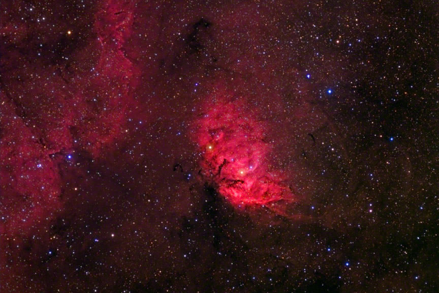 The Tulip Nebula