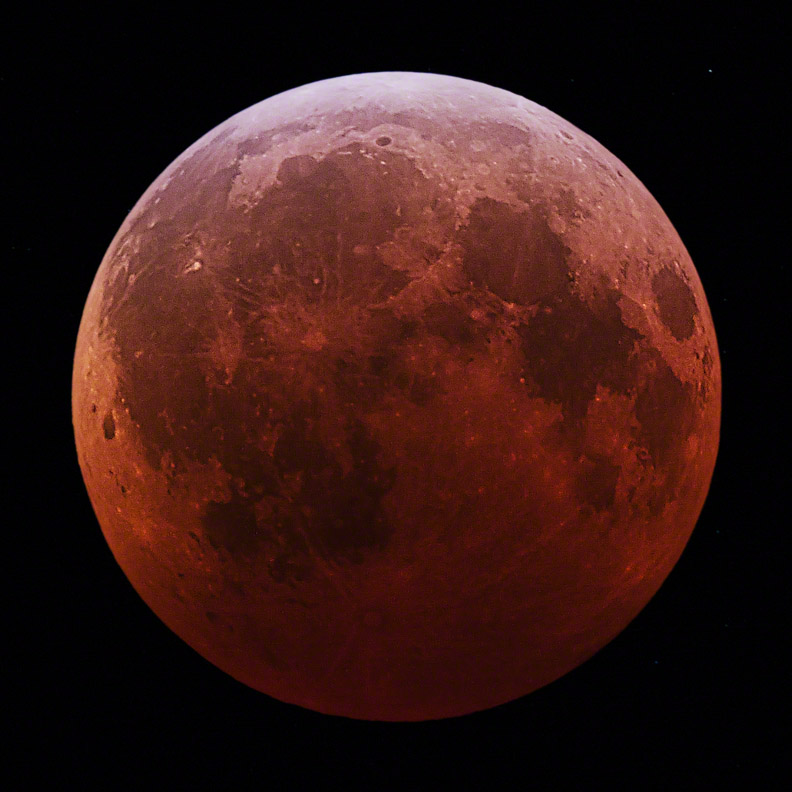 Lunar Eclipse 2010/12/21