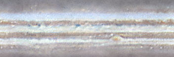 Jupiter Cylindrical Projection 2004